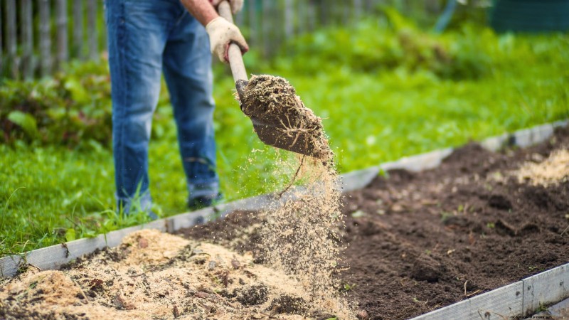 Mastering a Vegetable Garden in USDA Zone 8: Expert Tips & Proven Strategies