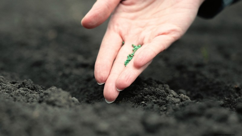 Mastering a Vegetable Garden in USDA Zone 8: Expert Tips & Proven Strategies
