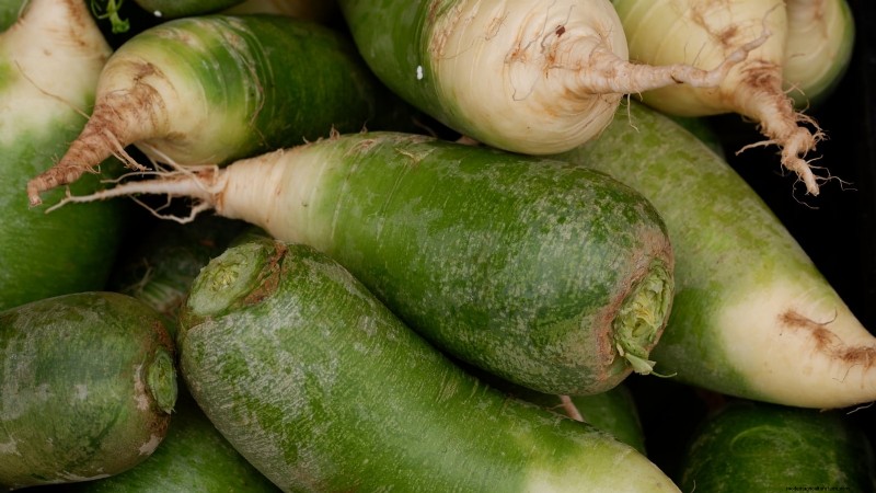 Choosing Radish Varieties: Best Picks for Spring and Fall Planting