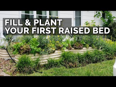 Zone 7 Vegetable Gardening: A Complete Beginner’s Guide