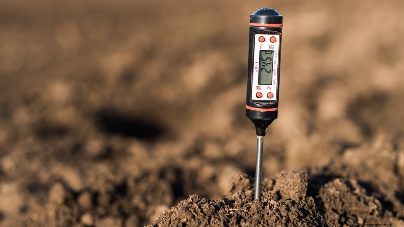 Zone 7 Vegetable Gardening: A Complete Beginner’s Guide