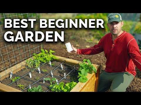 Zone 7 Vegetable Gardening: A Complete Beginner’s Guide