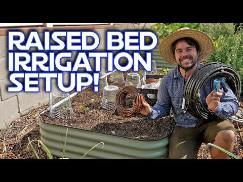 Zone 7 Vegetable Gardening: A Complete Beginner’s Guide