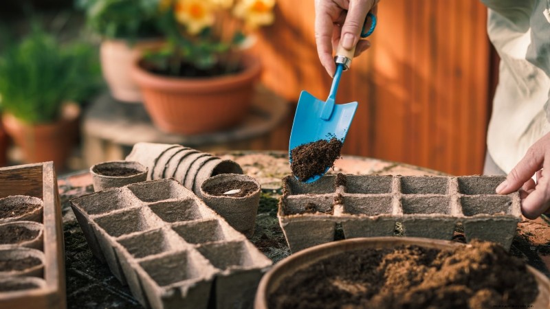 Zone 7 Vegetable Gardening: A Complete Beginner’s Guide