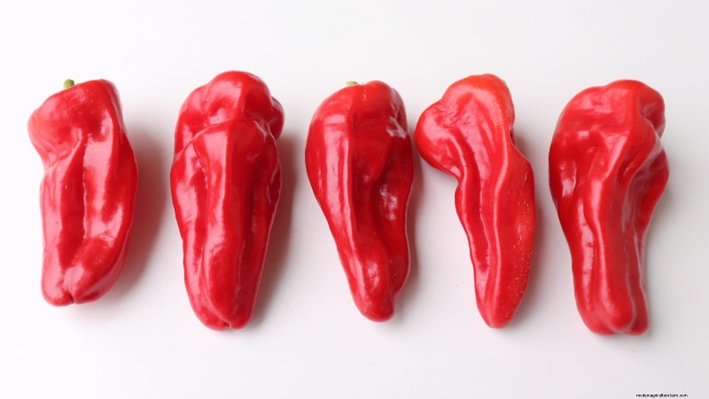 Grow, Care, and Harvest Pimiento Peppers: Your Complete Guide