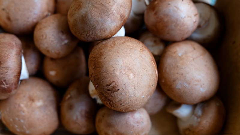 Grow Fresh Mushrooms at Home from Store‑Bought Pieces