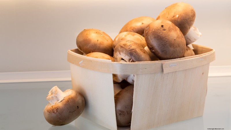 Grow Fresh Mushrooms at Home from Store‑Bought Pieces