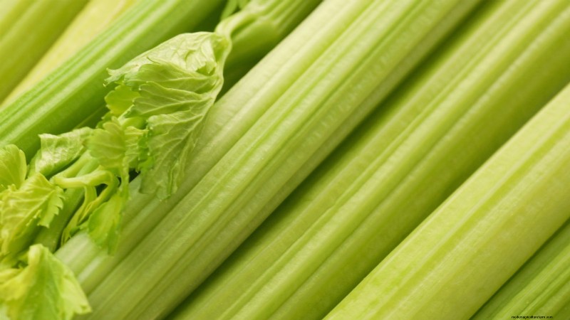 5 Proven Strategies for Thriving Celery in Raised Beds