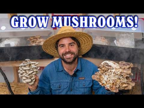 13 Mushrooms You Can Grow at Home – A Must‑Know Guide