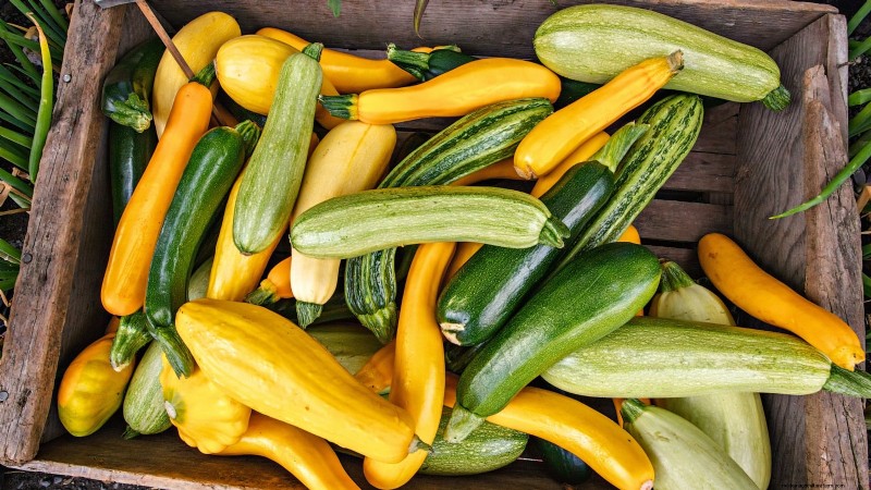 Expert Guide: Growing Squash in Raised Beds with Proven Tips