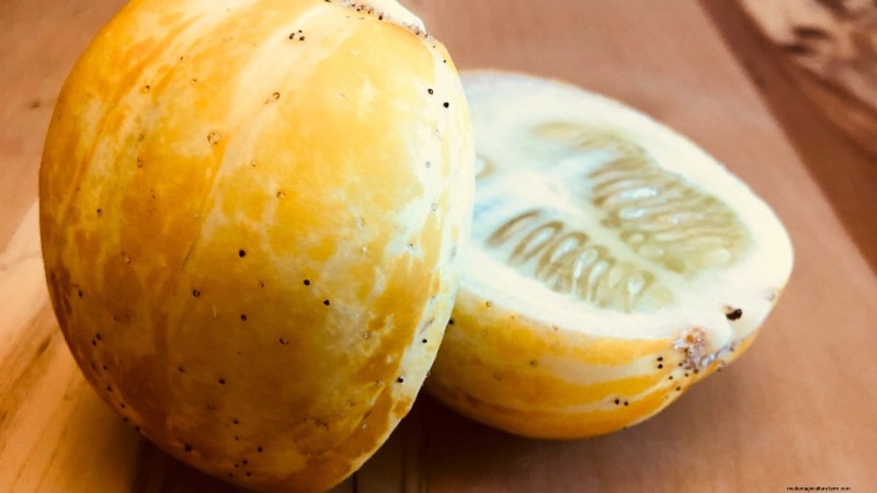 Plant, Grow, and Care for Lemon Cucumbers: Expert Guide