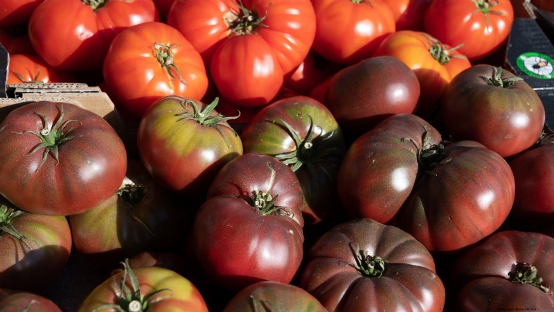 7 Extraordinary Tomato Varieties That Will Transform Your Garden