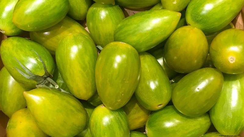 7 Extraordinary Tomato Varieties That Will Transform Your Garden