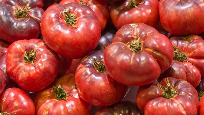 7 Extraordinary Tomato Varieties That Will Transform Your Garden