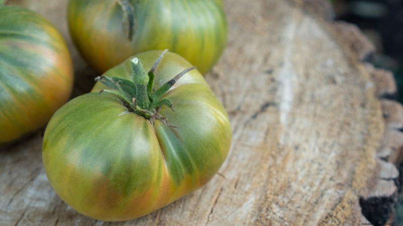 7 Extraordinary Tomato Varieties That Will Transform Your Garden