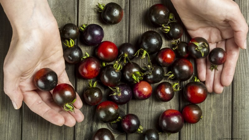 7 Extraordinary Tomato Varieties That Will Transform Your Garden