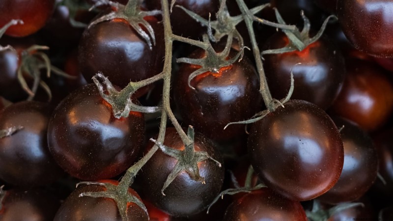 7 Extraordinary Tomato Varieties That Will Transform Your Garden