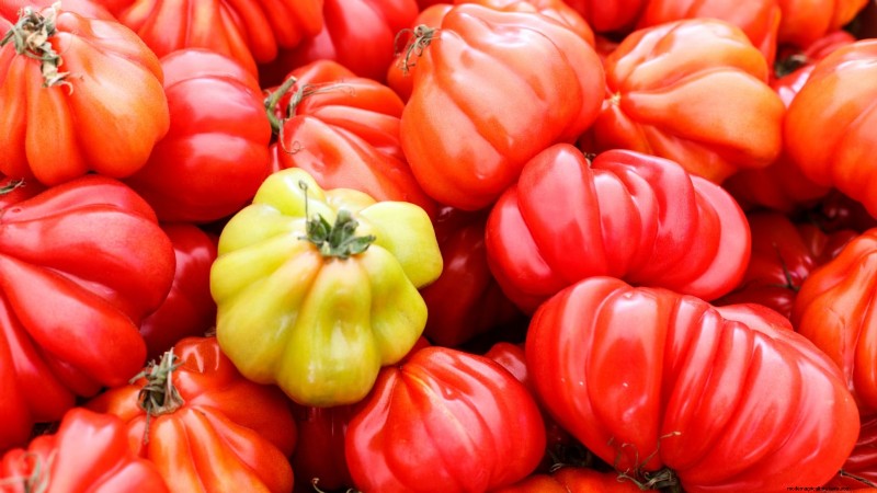 7 Extraordinary Tomato Varieties That Will Transform Your Garden
