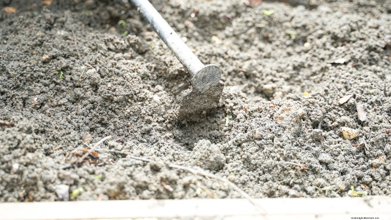 Avoid These 9 Common Vegetable Garden Mistakes in 2024 – Expert Tips for Success