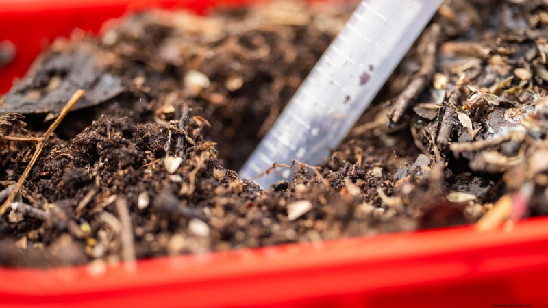 Avoid These 9 Common Vegetable Garden Mistakes in 2024 – Expert Tips for Success