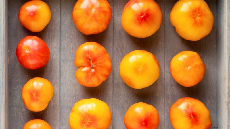 Explore 7 Stunning Tomato Varieties That Must Not Be Missed