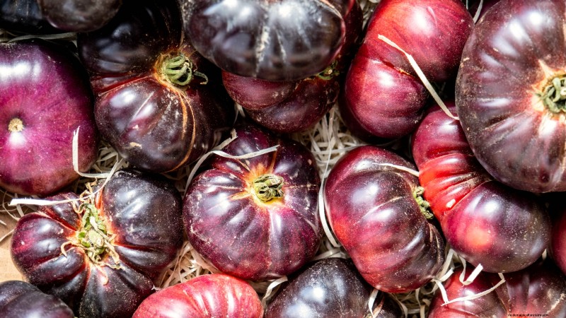Growing Tomatoes in Shaded Areas: What You Need to Know