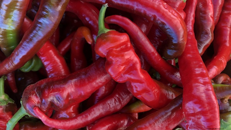 21 Must‑Plant Heirloom Vegetables for a Flavorful Spring Garden