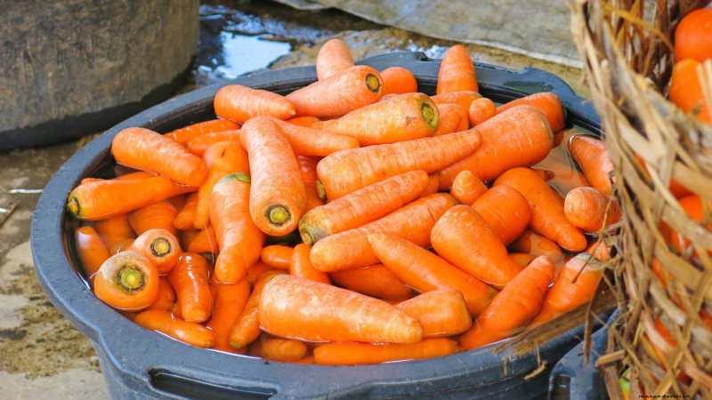Expert Guide: 13 Proven Tips for Perfect Carrot Harvests This Season