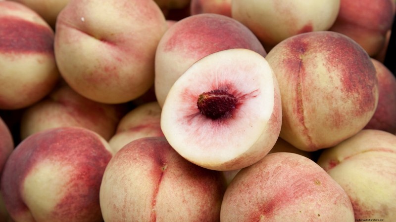 Top 9 Peach Tree Varieties for Your Home Garden