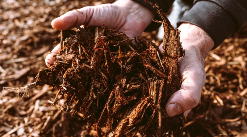 Avoid These 15 Common Cucumber‑Growing Mistakes for a Bountiful Harvest