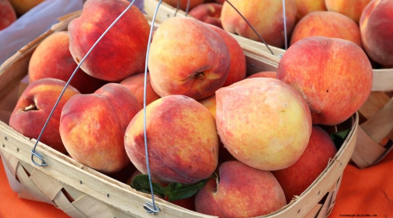 Peach Tree Growth Stages: How Quickly Do They Mature? – A Practical Guide