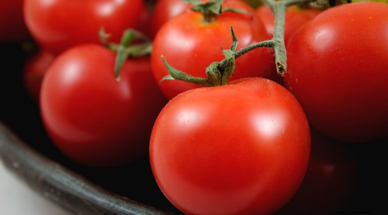 19 Early‑Season Tomato Varieties for a Rapid Harvest