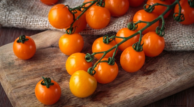 19 Early‑Season Tomato Varieties for a Rapid Harvest