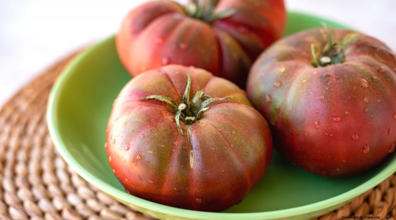 19 Early‑Season Tomato Varieties for a Rapid Harvest