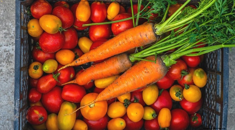 Tomatoes and Carrots: A Proven Companion Planting Pair