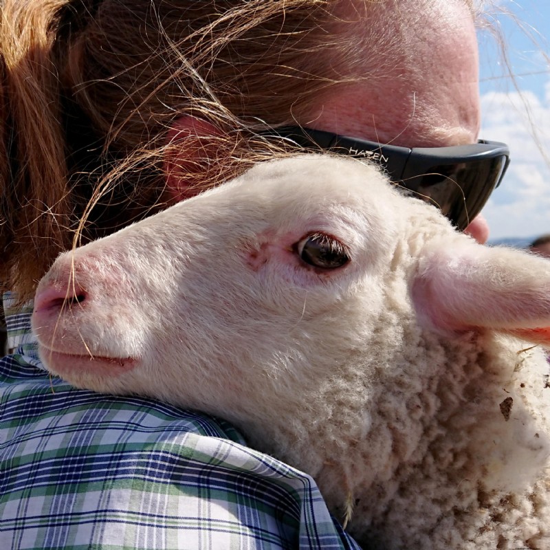 ATTRA: Trusted Agricultural Advice & Sustainable Practices