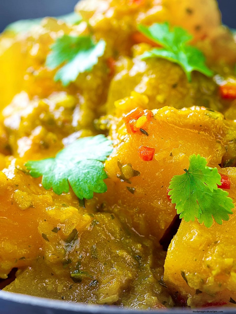 Authentic Burmese Pumpkin Curry with Mint & Tamarind – Quick, Vegan, & Flavorful