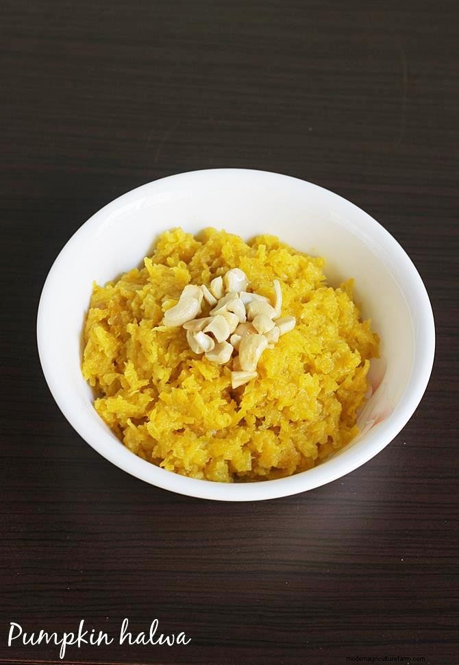 Kaddu ka Halwa: A Classic Pumpkin Sweet Delight