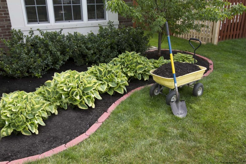 14 Eco‑Friendly Lawn Alternatives That Eliminate the Mower