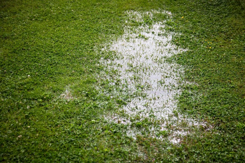 14 Backyard Upgrade Mistakes That Undermine Property Value