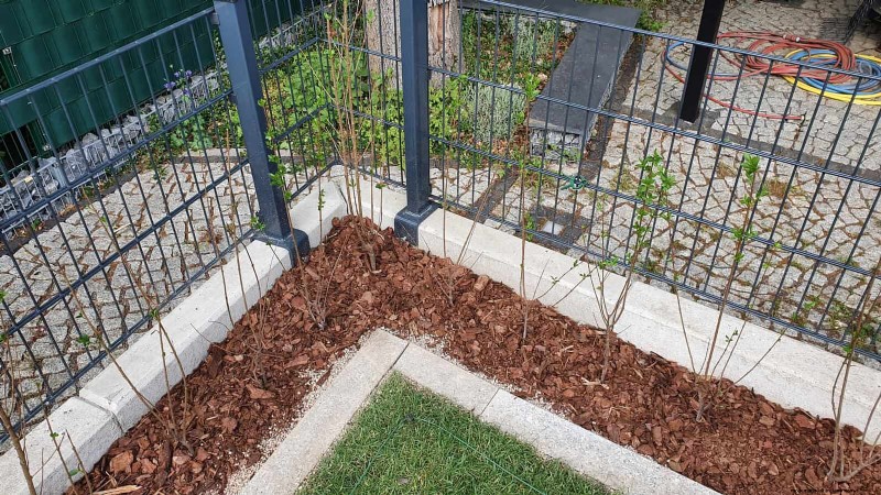 14 Backyard Upgrade Mistakes That Undermine Property Value