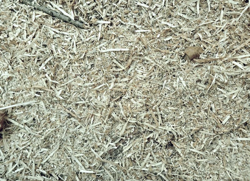 13 Proven Soil Strategies from Certified Organic Farmers—Easy to Apply in Your Backyard