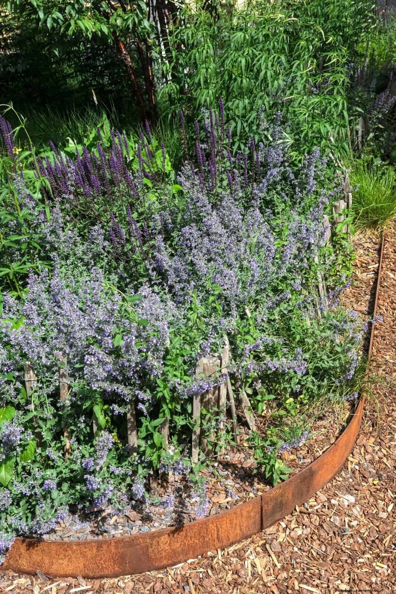 15 Proven Garden Bed Edging Ideas to Keep Your Landscape Neat