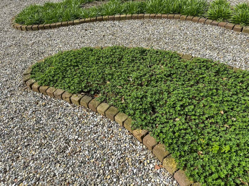 15 Proven Garden Bed Edging Ideas to Keep Your Landscape Neat