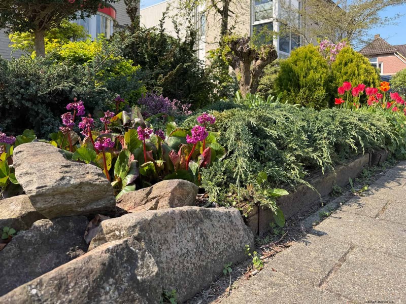 15 Proven Garden Bed Edging Ideas to Keep Your Landscape Neat