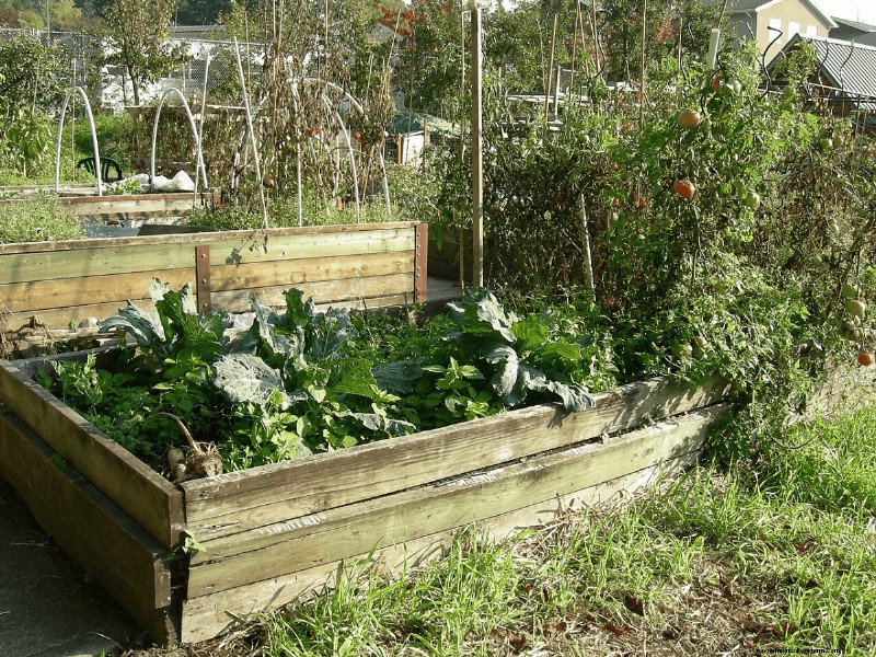 15 Proven Garden Bed Edging Ideas to Keep Your Landscape Neat