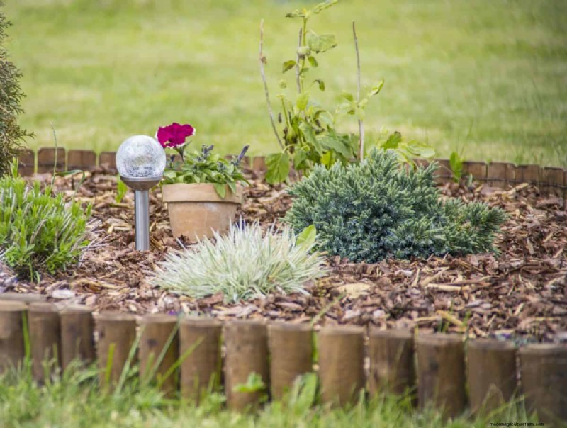 15 Proven Garden Bed Edging Ideas to Keep Your Landscape Neat