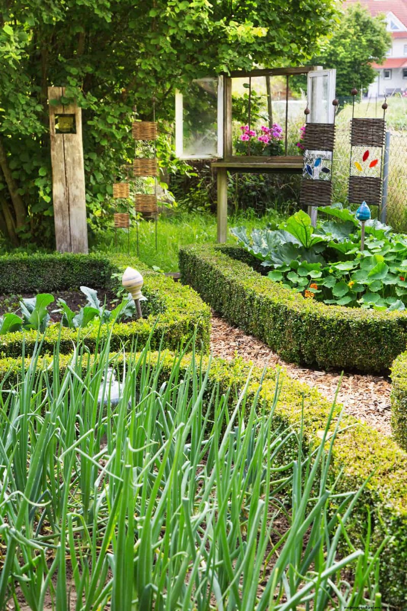 15 Proven Garden Bed Edging Ideas to Keep Your Landscape Neat