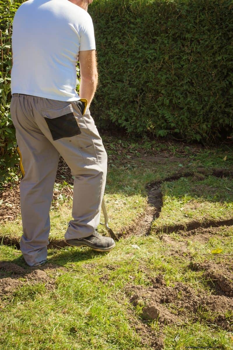 15 Proven Garden Bed Edging Ideas to Keep Your Landscape Neat