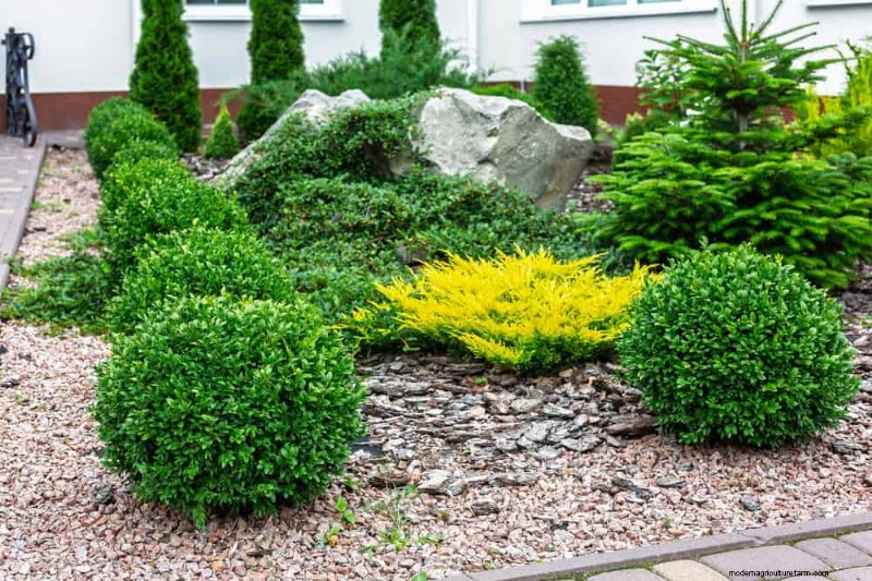 14 Front‑Yard Red Flags That Reveal a New Homeowner